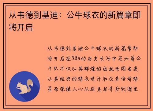 从韦德到基迪：公牛球衣的新篇章即将开启