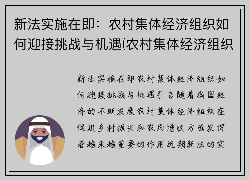 新法实施在即：农村集体经济组织如何迎接挑战与机遇(农村集体经济组织实施方案)