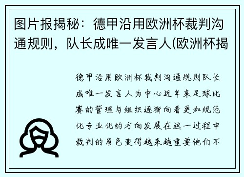图片报揭秘：德甲沿用欧洲杯裁判沟通规则，队长成唯一发言人(欧洲杯揭幕战主裁判)