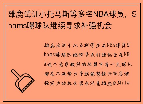 雄鹿试训小托马斯等多名NBA球员,Shams曝球队继续寻求补强机会