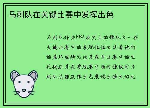马刺队在关键比赛中发挥出色