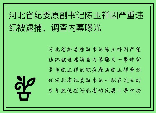 河北省纪委原副书记陈玉祥因严重违纪被逮捕，调查内幕曝光