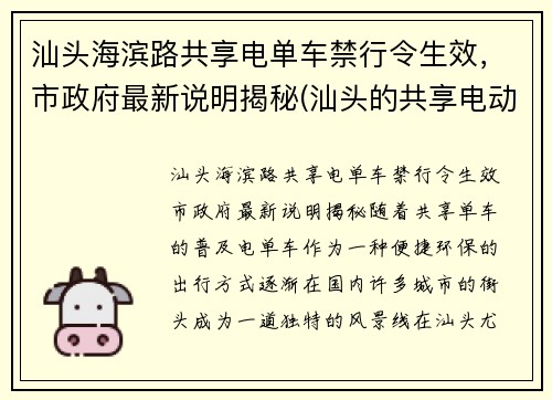 汕头海滨路共享电单车禁行令生效，市政府最新说明揭秘(汕头的共享电动单车怎么使用怎么收费)